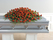 Casket Sprays